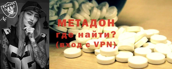 прущие грибы Новозыбков