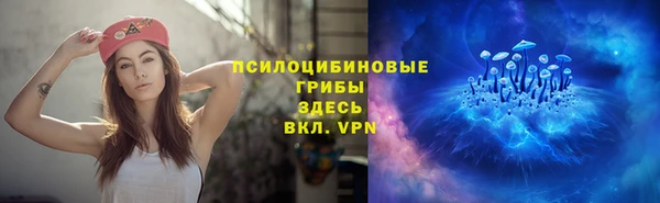 apvp Няндома