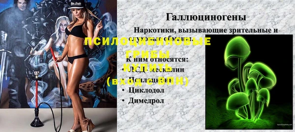 ALPHA PVP Нязепетровск