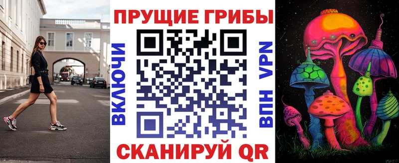 Псилоцибиновые грибы Cubensis  ОМГ ОМГ как войти  Александров 